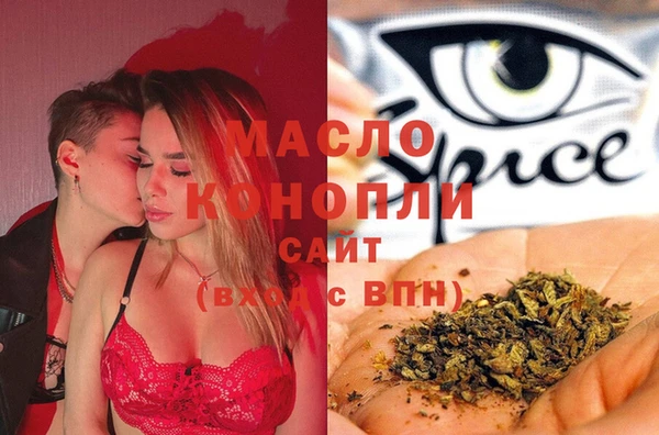 хмурый Арсеньев