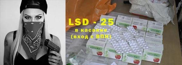 хмурый Арсеньев