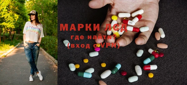 хмурый Арсеньев