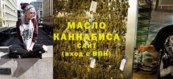хмурый Арсеньев