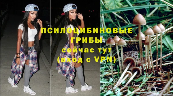 бошки Армянск