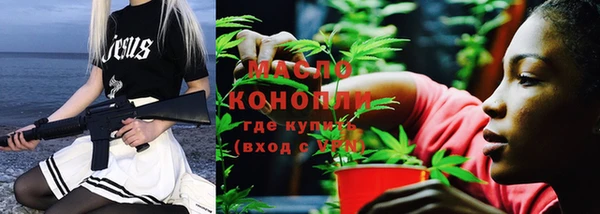 хмурый Арсеньев