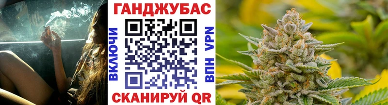 Шишки марихуана сатива  где найти   дарк нет клад  Зуевка 